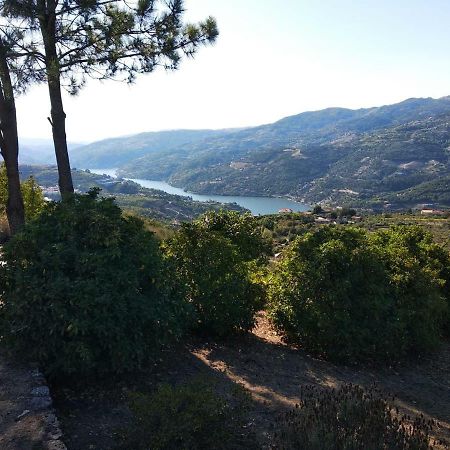 Paraiso Hills - Encostas Do Paraiso: Tranquilidade No Douro レゼンデ エクステリア 写真