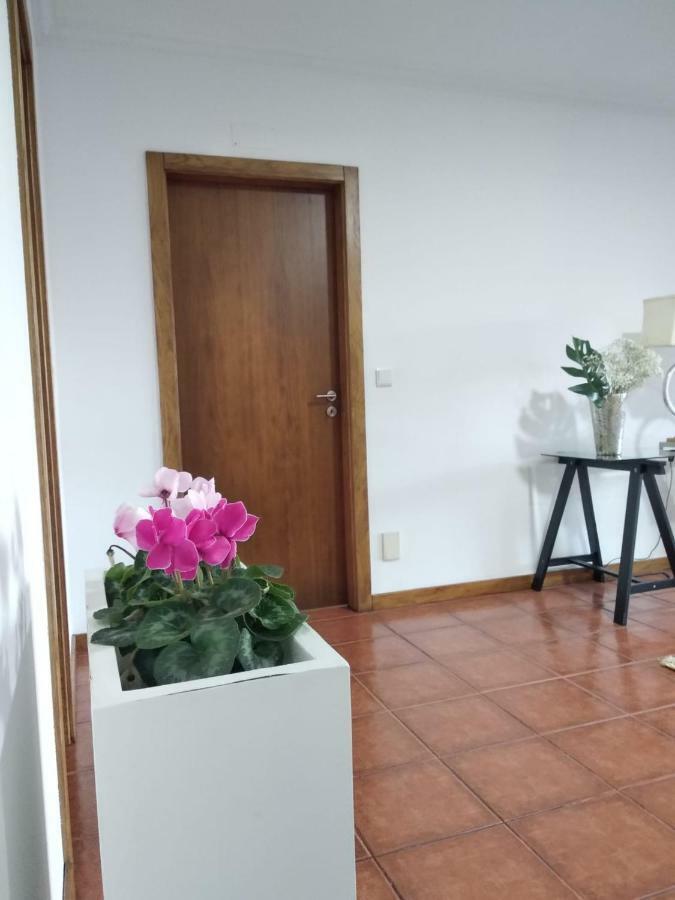 Paraiso Hills - Encostas Do Paraiso: Tranquilidade No Douro レゼンデ エクステリア 写真