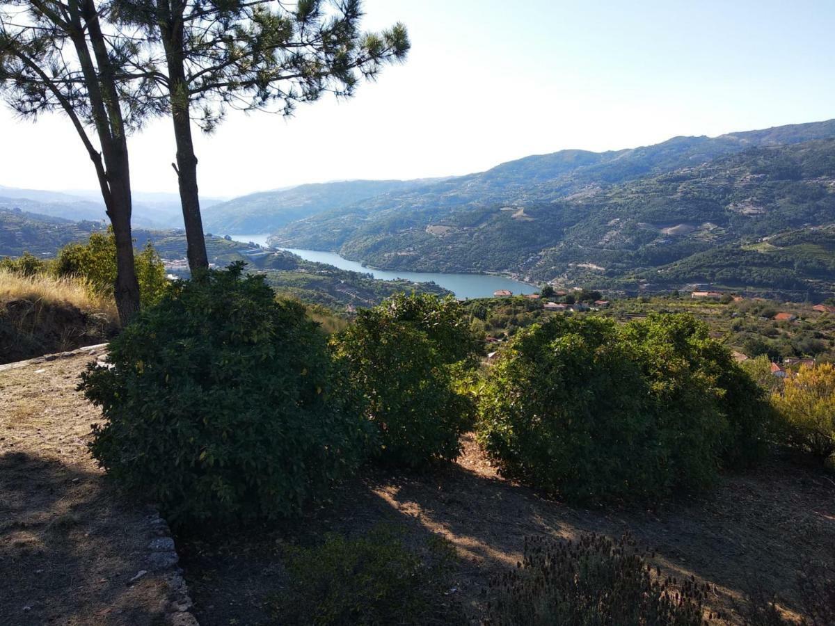 Paraiso Hills - Encostas Do Paraiso: Tranquilidade No Douro レゼンデ エクステリア 写真